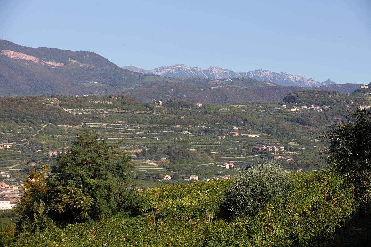 Brigaldara
